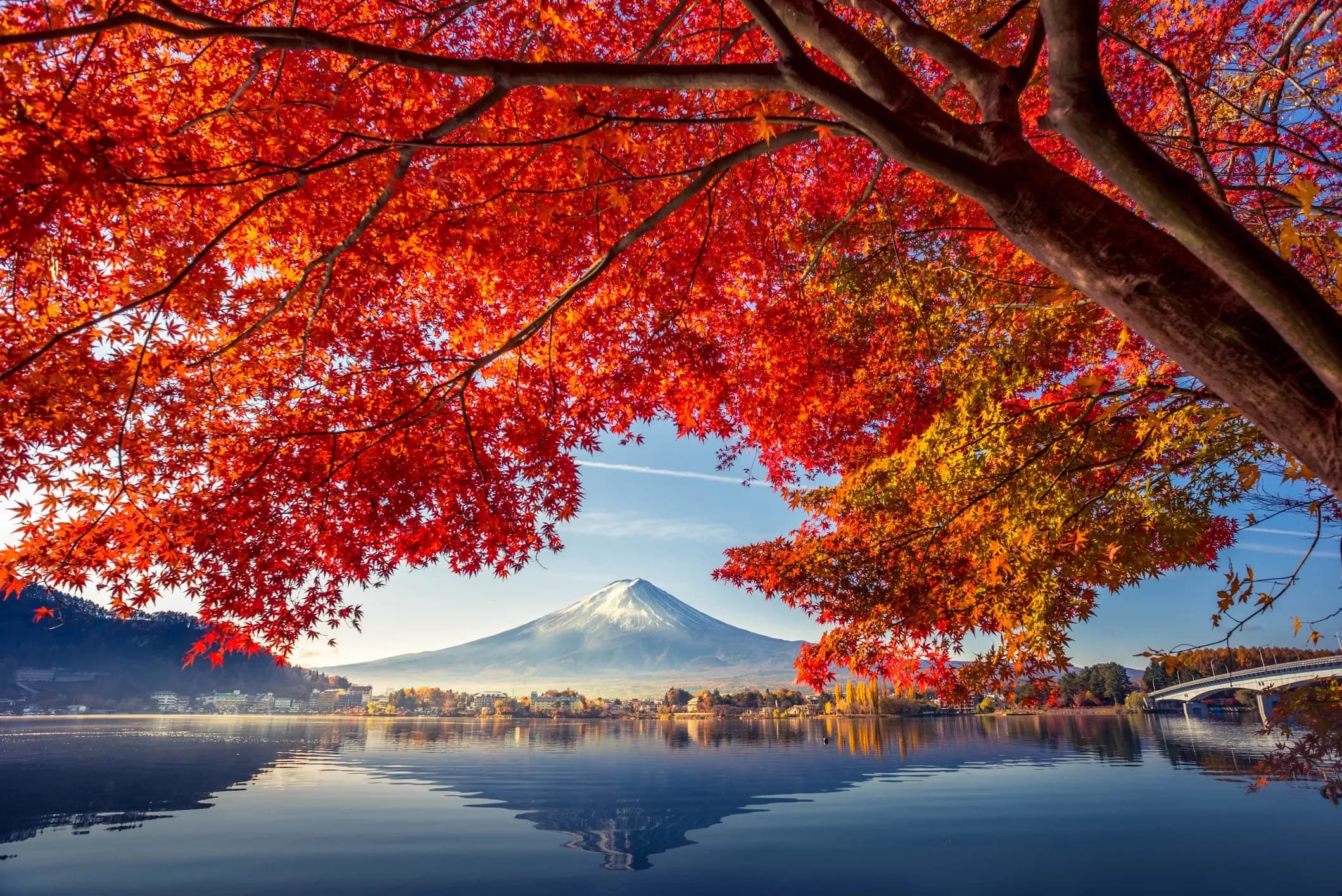 Mt Fuji with Autumn Leaves